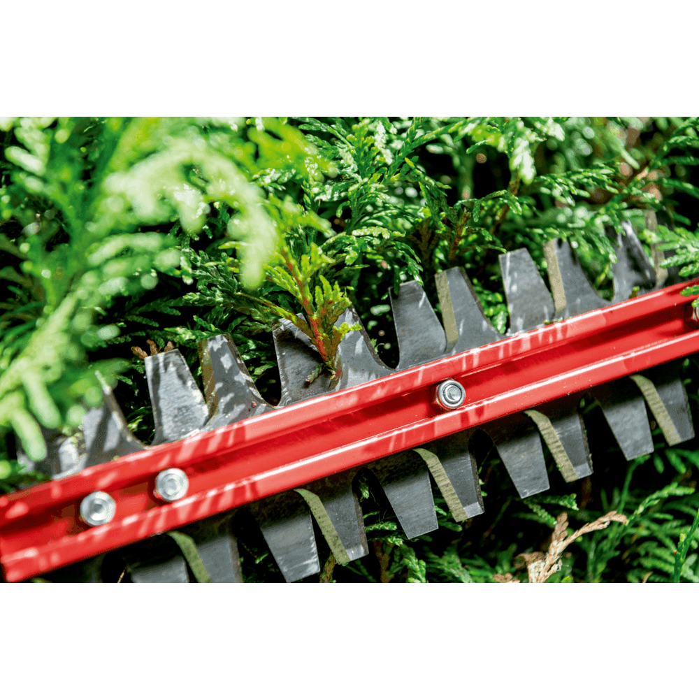 HS 18 LTX BL 65 (601723850) Akumulatorowe nożyce do żywopłotu 13